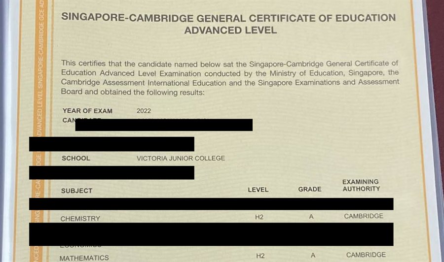 Cropped A-Level result slip showing subject grades, personal details redacted
