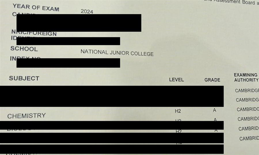 Cropped A-Level result slip showing subject grades, personal details redacted