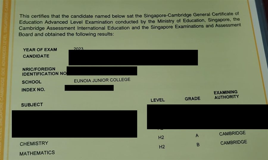 Cropped A-Level result slip showing subject grades, personal details redacted