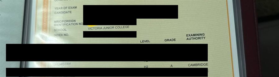 Cropped A-Level result slip showing subject grades, personal details redacted