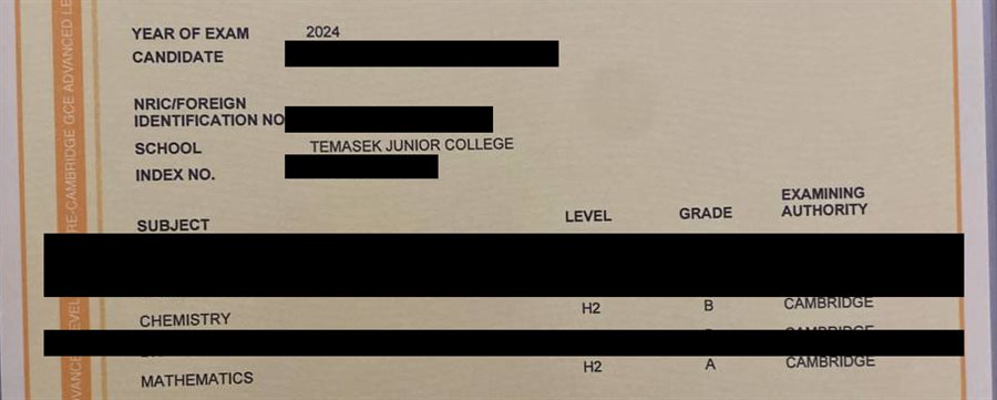 Cropped A-Level result slip showing subject grades, personal details redacted