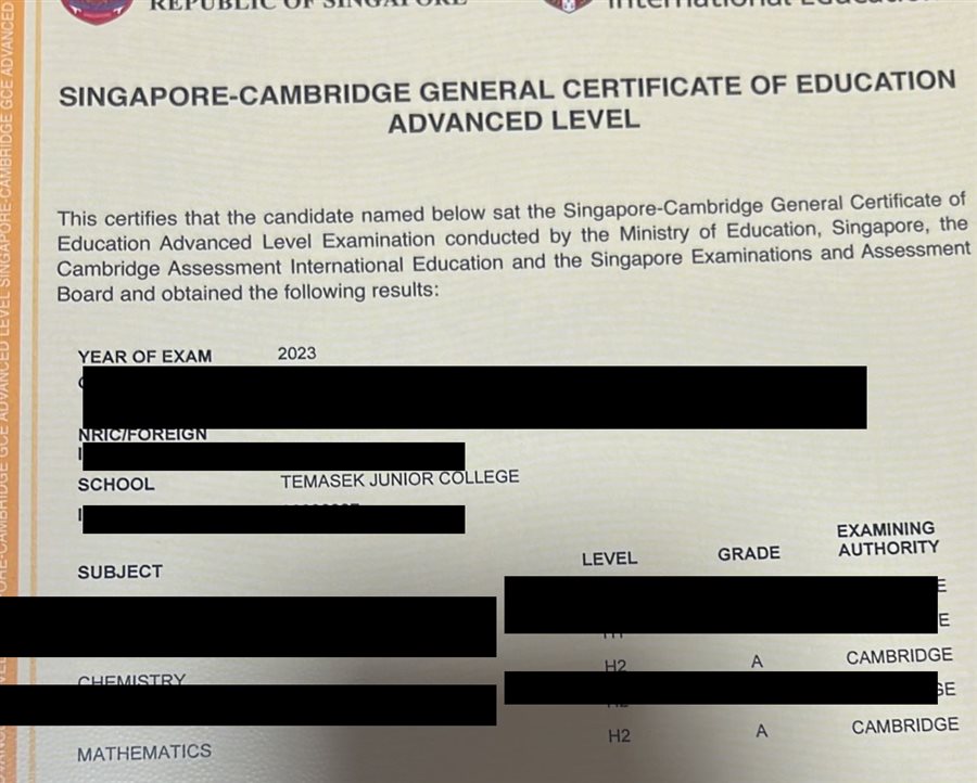 Cropped A-Level result slip showing subject grades, personal details redacted