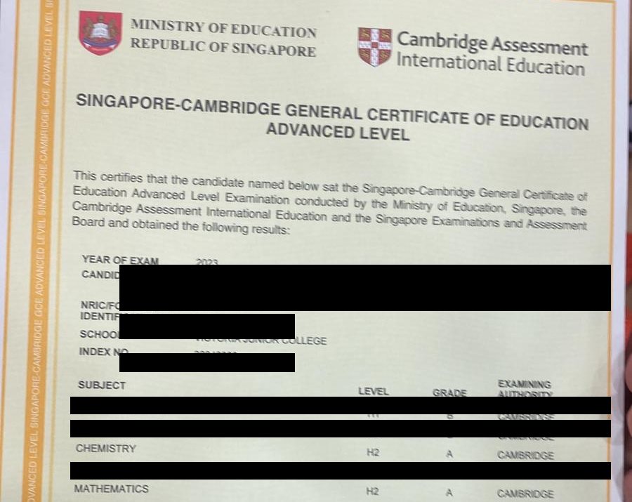 Cropped A-Level result slip showing subject grades, personal details redacted
